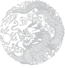 DragonMN